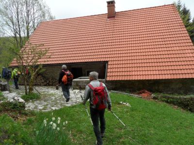 Kliknite za ogled večje slike