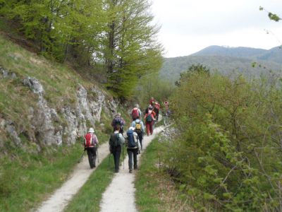 Kliknite za ogled večje slike