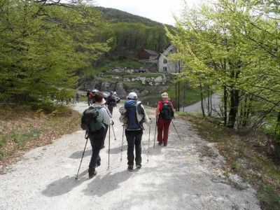 Kliknite za ogled večje slike