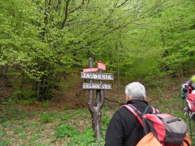 Kliknite za ogled večje slike