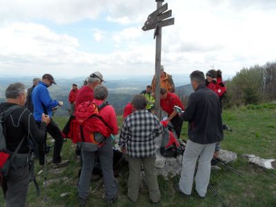 Kliknite za ogled večje slike