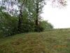 DSCN0465.JPG