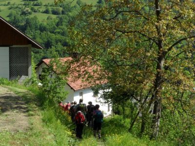 Kliknite za ogled večje slike