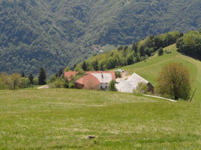 Kliknite za ogled večje slike