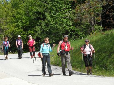 Kliknite za ogled večje slike