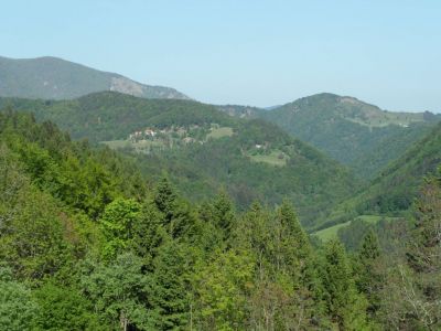 Kliknite za ogled večje slike