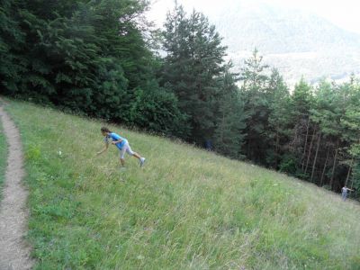 Kliknite za ogled večje slike