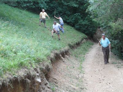 Kliknite za ogled večje slike