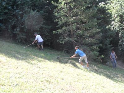 Kliknite za ogled večje slike
