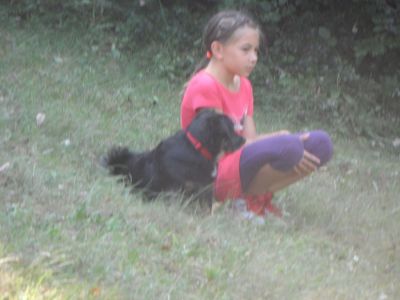 Kliknite za ogled večje slike