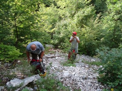 Kliknite za ogled večje slike