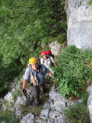 Kliknite za ogled večje slike