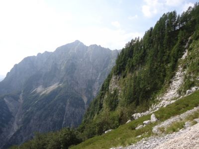 Kliknite za ogled večje slike
