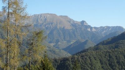 Kliknite za ogled večje slike