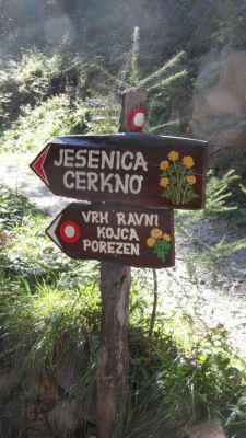 Kliknite za ogled večje slike