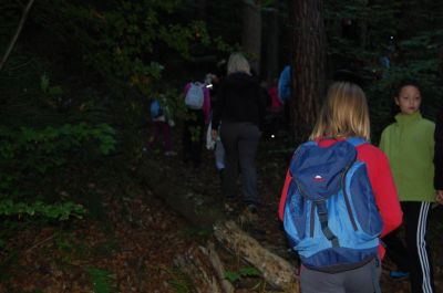 Kliknite za ogled večje slike