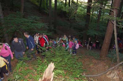 Kliknite za ogled večje slike