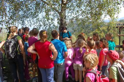 Kliknite za ogled večje slike