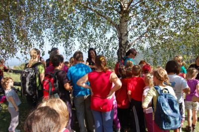 Kliknite za ogled večje slike