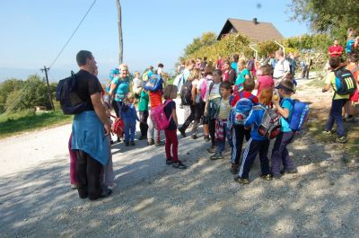 Kliknite za ogled večje slike