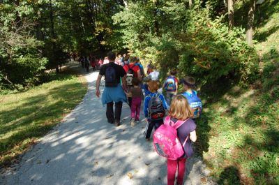 Kliknite za ogled večje slike