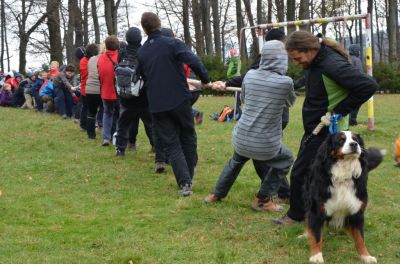 Kliknite za ogled večje slike