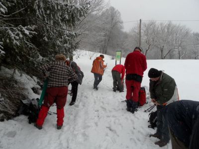 Kliknite za ogled večje slike