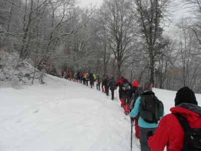 Kliknite za ogled večje slike