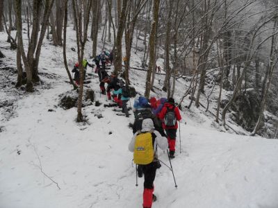 Kliknite za ogled večje slike