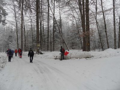 Kliknite za ogled večje slike