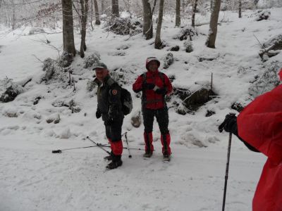 Kliknite za ogled večje slike