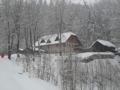 Kliknite za ogled večje slike