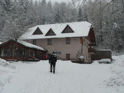 Kliknite za ogled večje slike