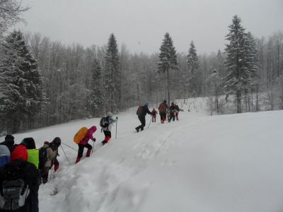 Kliknite za ogled večje slike
