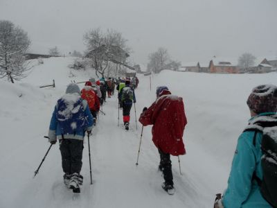 Kliknite za ogled večje slike