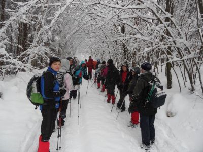 Kliknite za ogled večje slike