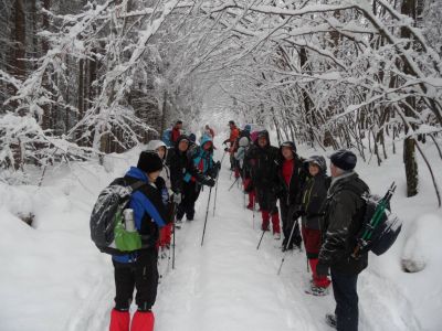Kliknite za ogled večje slike