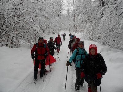 Kliknite za ogled večje slike
