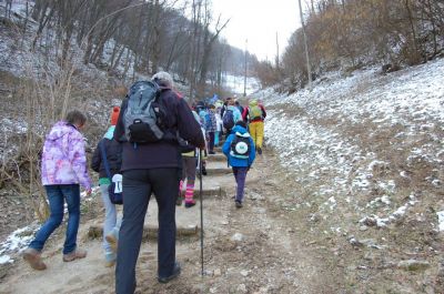 Kliknite za ogled večje slike