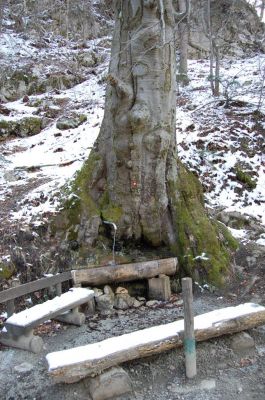 Kliknite za ogled večje slike