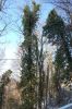 DSC_0066.JPG