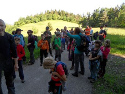 Kliknite za ogled večje slike