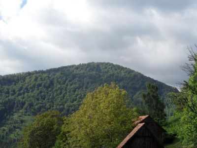 Kliknite za ogled večje slike