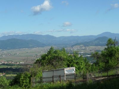 Kliknite za ogled večje slike