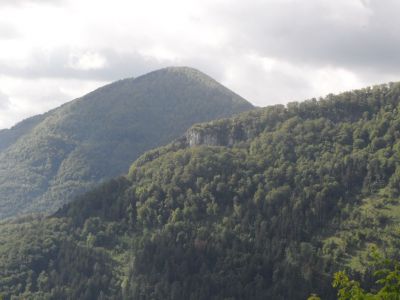 Kliknite za ogled večje slike
