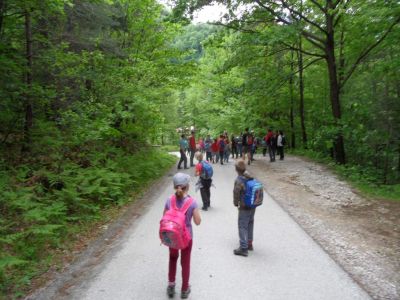 Kliknite za ogled večje slike