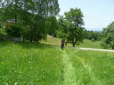 Kliknite za ogled večje slike