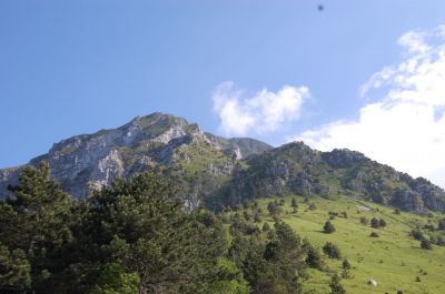 Kliknite za ogled večje slike