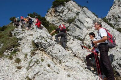Kliknite za ogled večje slike
