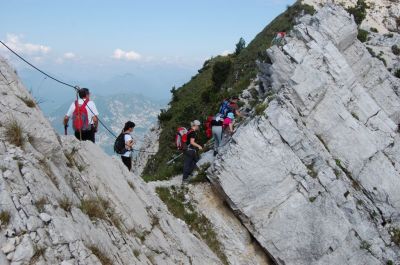 Kliknite za ogled večje slike